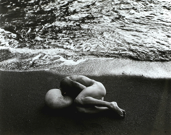 Male Nude With Shell Hawaii By Herb Ritts On Artnet Auctions