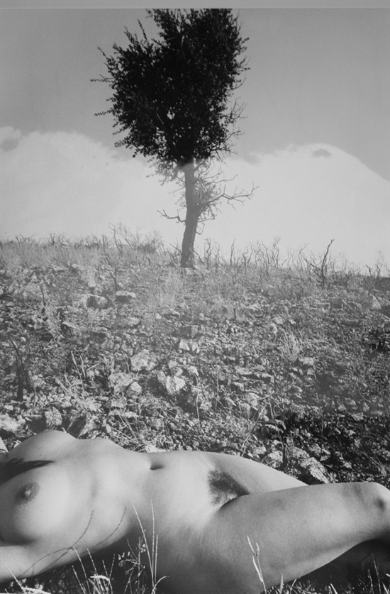 Nude In Forest By Lucien Clergue On Artnet Auctions