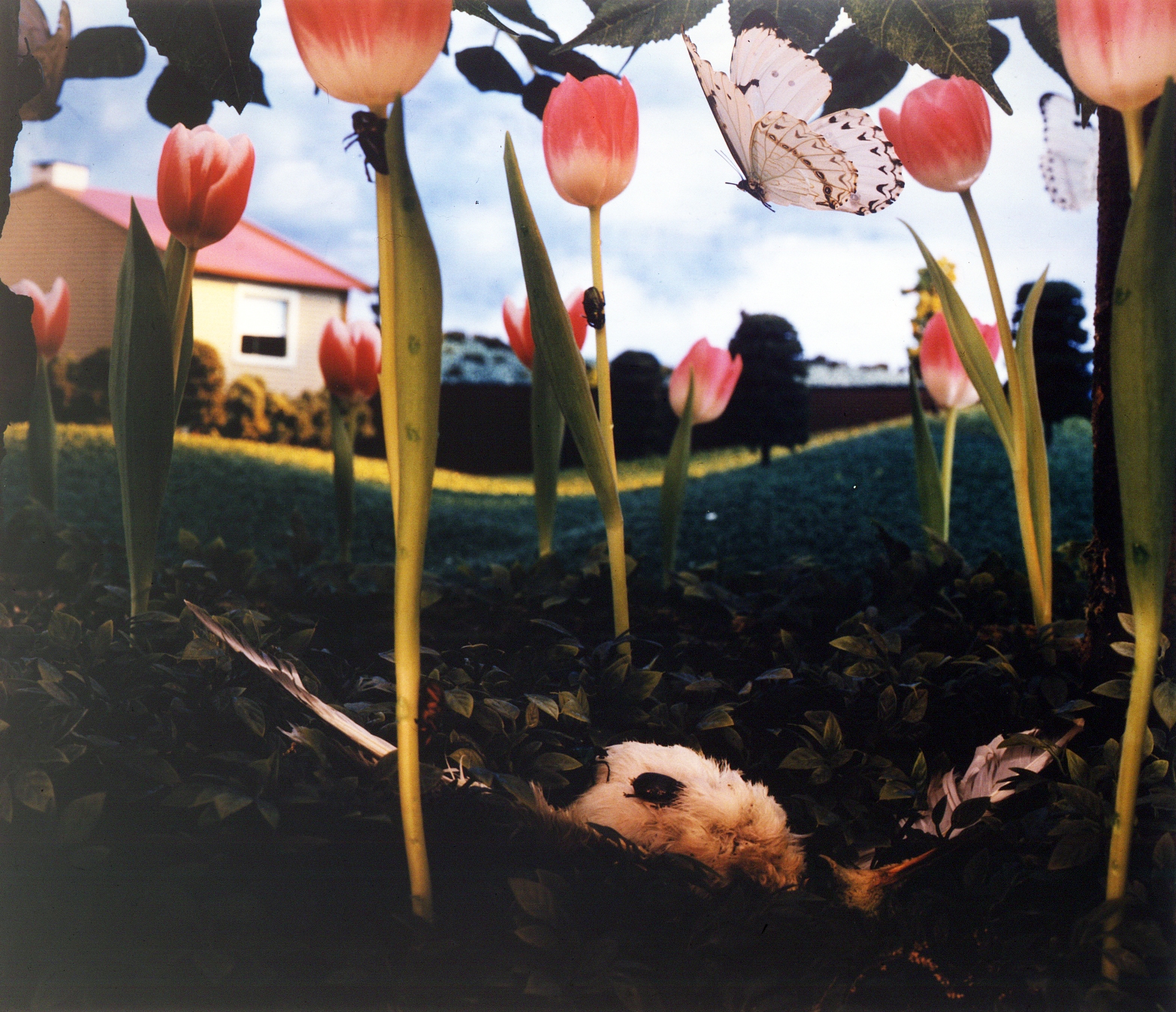 http://images.artnet.com/aoa_lot_images/81033/gregory-crewdson-untitled-natural-wonder-photographs-chromogenic-print-c-print-zoom.jpg