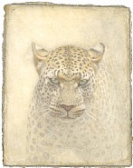 Wild Life