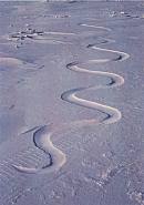 Andy Goldsworthy - Snow drift, carved into, waiting for the wind, Grise fiord, Ellesmere Island, 12 April 1989 (Photographs) h: 135 x w: 105.5 cm / h: 53.1 x w: 41.5 in