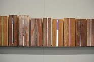 Absolut Library (Detail)