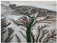 Colorado River Delta #2, Near San Felipe