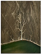 Colorado River Delta #4, Sonora, Mexico