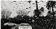 Bedford Drive II, Beverly Hills