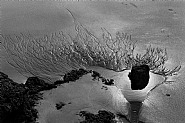 Langage des sables, Camargue