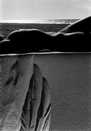 Nu sur le sable, Camargue