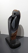 Gray bird