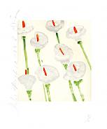 Donald Sultan - Lilies (Prints and Multiples) h: 16.5 x w: 15.1 in / h: 41.9 x w: 38.4 cm