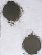 Donald Sultan - Pomegranate II (Prints and Multiples) h: 40 x w: 30 in / h: 101.6 x w: 76.2 cm