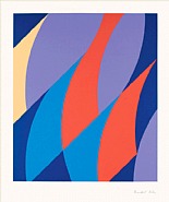 Bridget Riley - Large Fragment (Prints and Multiples) h: 42 x w: 36 in / h: 106.7 x w: 91.4 cm