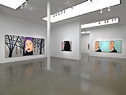 Installation view, Timothy Taylor Gallery, London