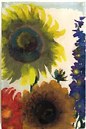 Sonnenblumen und Rittersporn / Sun Flowers and Larkspur