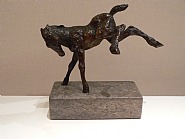 Ausschlagendes Fohlen / Lashing out Foal