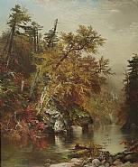A POOL IN THE ADIRONDACKS