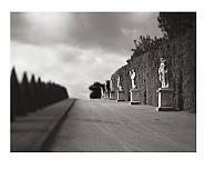 Allée, Versailles, France