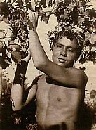 Portrait of a Sicilian Youth (102477)
