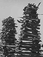 Manuel Alvarez Bravo - Chapil de Leña (Woodpile) (103414) (Photographs) h: 10 x w: 8 in / h: 25.4 x w: 20.3 cm