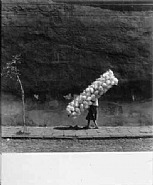 Cotton Candy-San Angel, Mexico D.F. (101659)