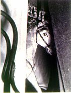 Caballo de Modera (Wooden Horse) (24688)