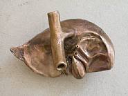 Little organ: Heart (1:1)