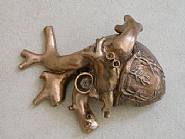 Little organ: Liver (1:1)
