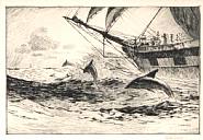 Martin Lewis - Trade Winds (Prints and Multiples)