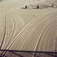 Untitled (Beach 13)