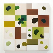 Green Pond V