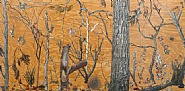 Plywoodscape