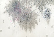 Connection-PNC 24