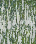 Green Surround