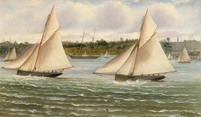  Charles F. Gerrard, REGATTA IN SYDNEY HARBOUR