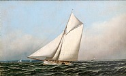Antonio Jacobsen - Racing Cutter MAYFLOWER of 1886 (Paintings) h: 22 x w: 36 in / h: 55.9 x w: 91.4 cm