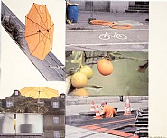 Robert Rauschenberg - Orange Float (Runts) (Photographs) h: 155 x w: 187.7 cm / h: 61 x w: 73.9 in