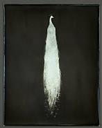 Adam Fuss - For Allegra (Photographs) h: 14 x w: 11 in / h: 35.6 x w: 27.9 cm