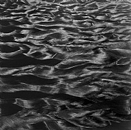 Churning Sea - Searching for Fluke Prints