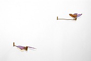 Rebecca Horn - Schmetterling-Skulpture (Butterfly Sculpture) (Mixed Media) h: 3.5 x w: 4.7 x d: 14.2 in / h: 8.9 x w: 11.9 x d: 36.1 cm