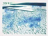 David Hockney - Lithograph of Water Made of Lines and a Green Wash (T.204) (Prints and Multiples)