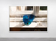 Wolfgang Tillmans - Beerenstilleben (Photographs)