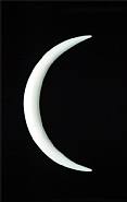 Slit Moon