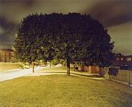 Untitled n.1, Black Country