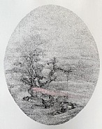 Heartscape 19