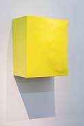 Growth 3 (Yellow)