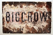 big crow