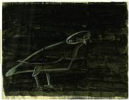 Bird in the Night