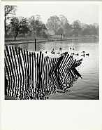 Hyde Park