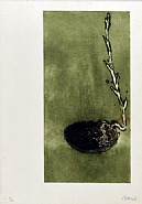 La petite pomme de terre