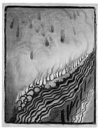 Georgia O'Keeffe - Plate V Drawing Number 9, From “Some Memories of Drawings” portfolio (Prints and Multiples) h: 25 x w: 19 in / h: 63.5 x w: 48.3 cm