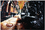 Concrete Jungle 5 (Copper)